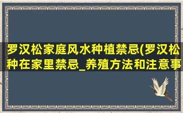 罗汉松家庭风水种植禁忌(罗汉松种在家里禁忌_养殖方法和注意事项)