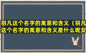 羽凡这个名字的寓意和含义（羽凡这个名字的寓意和含义是什么呢女孩）