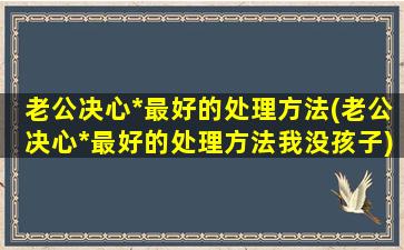 老公决心*最好的处理方法(老公决心*最好的处理方法我没孩子)