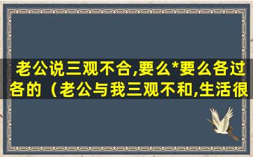 老公说三观不合,要么*要么各过各的（老公与我三观不和,生活很累）