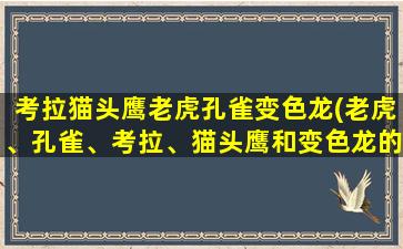 考拉猫头鹰老虎孔雀变色龙(老虎、孔雀、考拉、猫头鹰和变色龙的区别是什么)