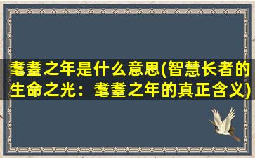 耄耋之年是什么意思(智慧长者的生命之光：耄耋之年的真正含义)