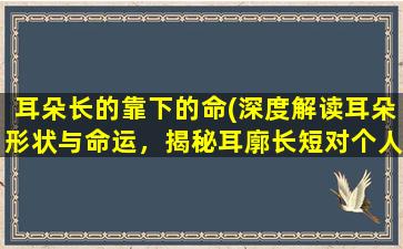 耳朵长的靠下的命(深度解读耳朵形状与命运，揭秘耳廓长短对个人性格的影响)