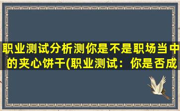 职业测试分析测你是不是职场当中的夹心饼干(职业测试：你是否成为职场夹心饼干？)