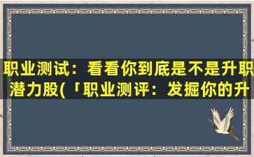 职业测试：看看你到底是不是升职潜力股(「职业测评：发掘你的升职潜力」)