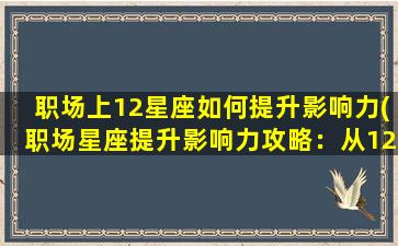 职场上12星座如何提升影响力(职场星座提升影响力攻略：从12星座角度解析)