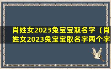 肖姓女2023兔宝宝取名字（肖姓女2023兔宝宝取名字两个字）