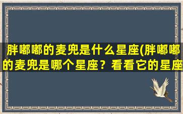 胖嘟嘟的麦兜是什么星座(胖嘟嘟的麦兜是哪个星座？看看它的星座特征是什么！)