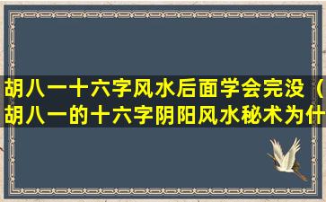 胡八一十六字风水后面学会完没（胡八一的十六字阴阳风水秘术为什么只有半本）