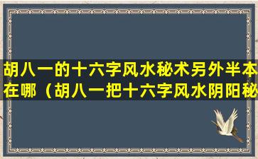 胡八一的十六字风水秘术另外半本在哪（胡八一把十六字风水阴阳秘术zui后给谁了）