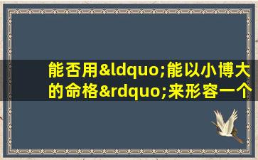 能否用“能以小博大的命格”来形容一个人的命运特质