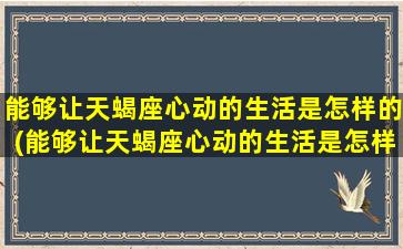 能够让天蝎座心动的生活是怎样的(能够让天蝎座心动的生活是怎样的状态）