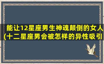 能让12星座男生神魂颠倒的女人(十二星座男会被怎样的异性吸引）