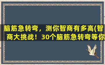 脑筋急转弯，测你智商有多高(智商大挑战！30个脑筋急转弯等你来解，你能拿下全场zui高分吗？)