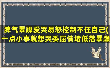 脾气暴躁爱哭易怒控制不住自己(一点小事就想哭委屈情绪低落暴躁)