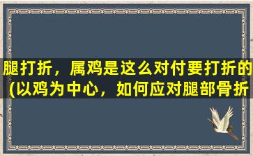 腿打折，属鸡是这么对付要打折的(以鸡为中心，如何应对腿部骨折问题：智能指南分享)