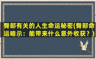 臀部有关的人生命运秘密(臀部命运暗示：能带来什么意外收获？)