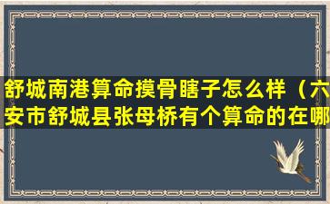 舒城南港算命摸骨瞎子怎么样（六安市舒城县张母桥有个算命的在哪）