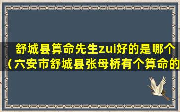 舒城县算命先生zui好的是哪个（六安市舒城县张母桥有个算命的在哪）