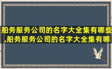 船务服务公司的名字大全集有哪些,船务服务公司的名字大全集有哪些呢