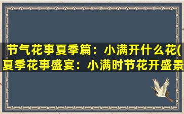 节气花事夏季篇：小满开什么花(夏季花事盛宴：小满时节花开盛景)