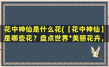 花中神仙是什么花(【花中神仙】是哪些花？盘点世界*美丽花卉，让你惊叹天赋之美！)