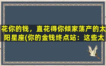 花你的钱，直花得你倾家荡产的太阳星座(你的金钱终点站：这些太阳星座zui能花你的钱)