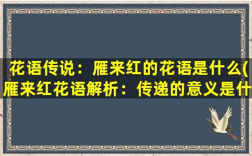 花语传说：雁来红的花语是什么(雁来红花语解析：传递的意义是什么？)