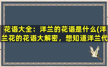 花语大全：洋兰的花语是什么(洋兰花的花语大解密，想知道洋兰代表什么含义吗？)