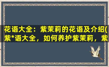 花语大全：紫茉莉的花语及介绍(紫*语大全，如何养护紫茉莉，紫茉莉图片赏析)