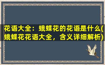 花语大全：蛾蝶花的花语是什么(蛾蝶花花语大全，含义详细解析)