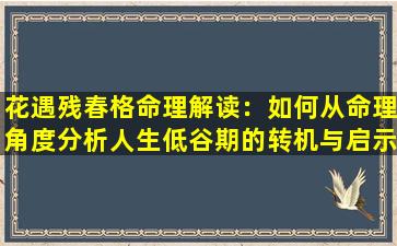 花遇残春格命理解读：如何从命理角度分析人生低谷期的转机与启示