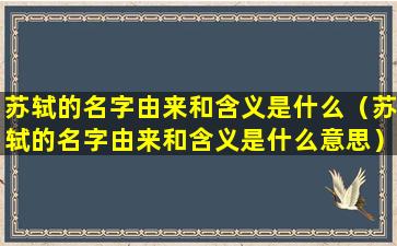 苏轼的名字由来和含义是什么（苏轼的名字由来和含义是什么意思）