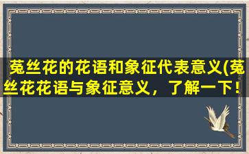 菟丝花的花语和象征代表意义(菟丝花花语与象征意义，了解一下！)