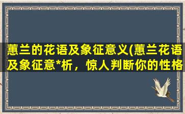 蕙兰的花语及象征意义(蕙兰花语及象征意*析，惊人判断你的性格特质！)