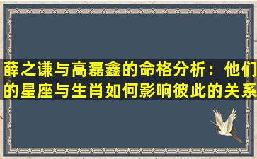 薛之谦与高磊鑫的命格分析：他们的星座与生肖如何影响彼此的关系