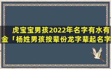 虎宝宝男孩2022年名字有水有金「杨姓男孩按辈份龙字辈起名字」