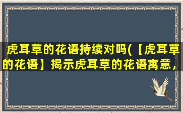虎耳草的花语持续对吗(【虎耳草的花语】揭示虎耳草的花语寓意，让你真正了解它的含义)
