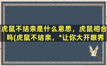 虎鼠不结亲是什么意思，虎鼠相合吗(虎鼠不结亲，*让你大开眼界！)