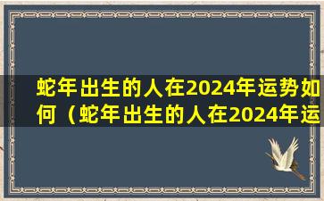 蛇年出生的人在2024年运势如何（蛇年出生的人在2024年运势如何呢）