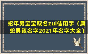 蛇年男宝宝取名zui佳用字（属蛇男孩名字2021年名字大全）