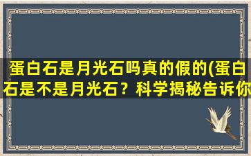 蛋白石是月光石吗真的假的(蛋白石是不是月光石？科学揭秘告诉你)