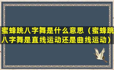 蜜蜂跳八字舞是什么意思（蜜蜂跳八字舞是直线运动还是曲线运动）