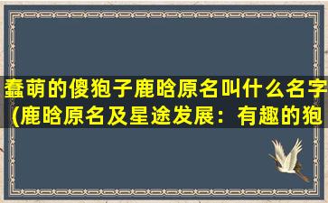 蠢萌的傻狍子鹿晗原名叫什么名字(鹿晗原名及星途发展：有趣的狍子转型之路)