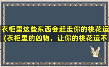 衣柜里这些东西会赶走你的桃花运(衣柜里的凶物，让你的桃花运不顺！)