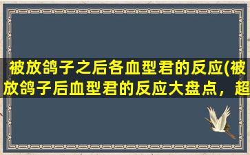 被放鸽子之后各血型君的反应(被放鸽子后血型君的反应大盘点，超级惊人的*！)