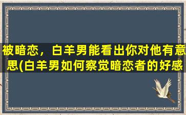 被暗恋，白羊男能看出你对他有意思(白羊男如何察觉暗恋者的好感？)