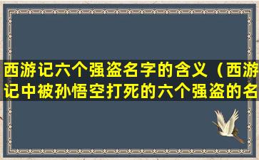 西游记六个强盗名字的含义（西游记中被孙悟空打死的六个强盗的名字）