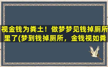 视金钱为粪土！做梦梦见钱掉厕所里了(梦到钱掉厕所，金钱视如粪土)