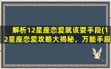 解析12星座恋爱就该耍手段(12星座恋爱攻略大揭秘，万能手段让你秒变恋爱高手！)